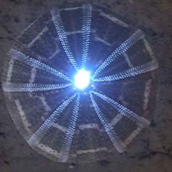 Sea Urchin Shell, Gives Off a Soft Translucent Glow, 4" diameter, Unique - Picture 1 of 11